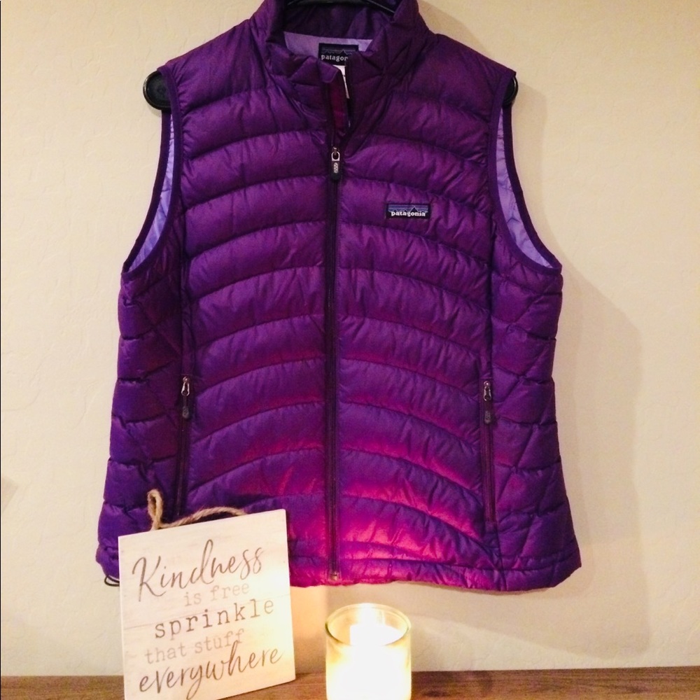 Patagonia puffer Vest